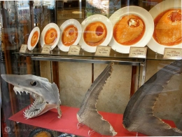 Salah satu restoran di Jepang yang menyajikan kuliner sirip hiu. Sumber :National Geographic Blog - National Geographic Society