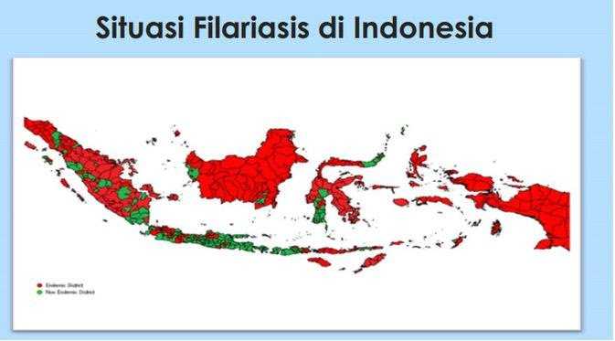 situasi filariasis di Indonesia (sumber kemenkes)