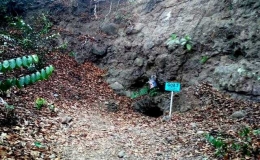 Goa 2, mirip sarang Musang (dokpri)