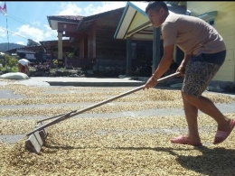 Pemberdayaan kopi di Takengon, Aceh Tengah. Bayangin bagaimana nasib para petani kopi jika masyarakat terkena penyakit maag? (dokpri)