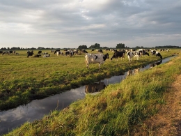 Daerah pertanian di Belanda, dokpri.
