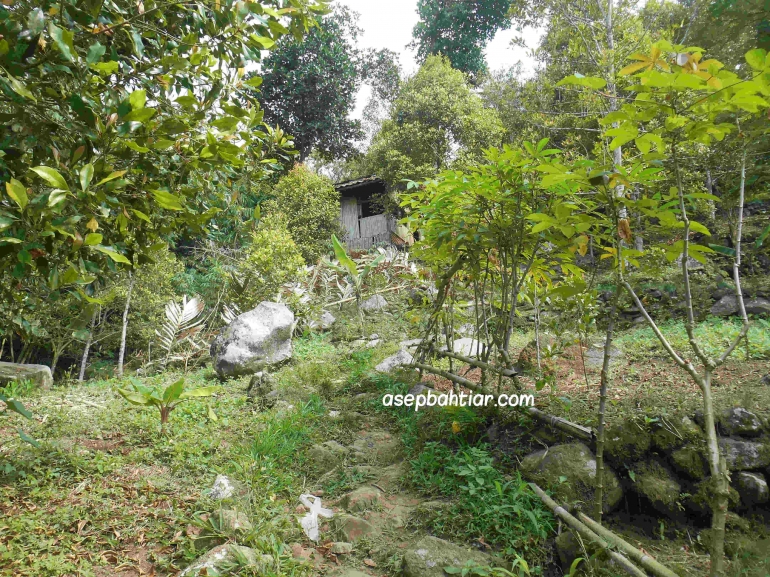 masih berjalan setelah gubuk itu kita belok kanan | Dokpri