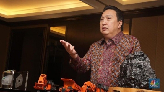 Boy Thohir (dok. cnbcindonesia.com)