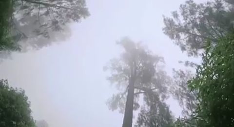 Gunung Kawi Pujon Kidul @ade/rohim
