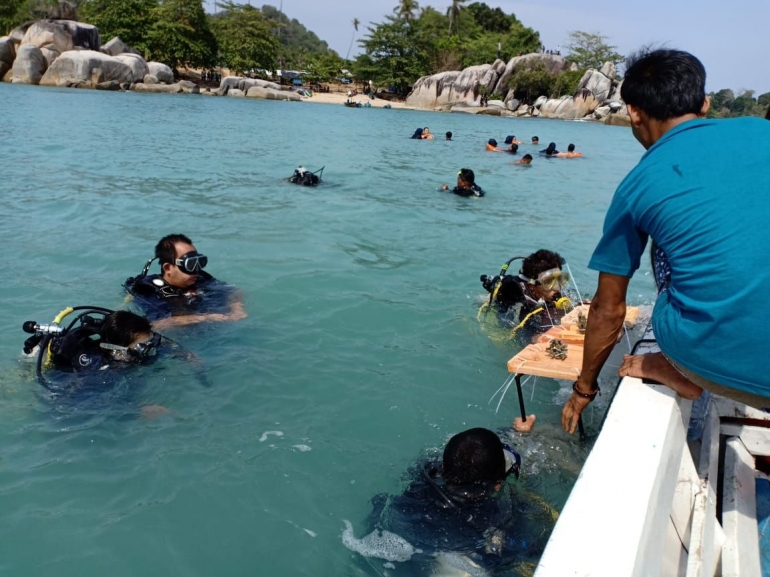 Peserta Kirab Pemuda Nasional melakukan transplantasi terumbu karang di Pantai Turun Aban Sungailiat (dokpri) 