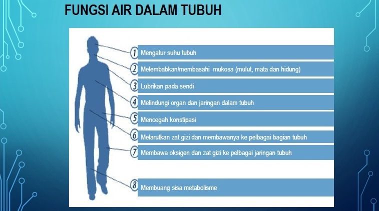 Fungsi air (dok.Diana Sunardi)