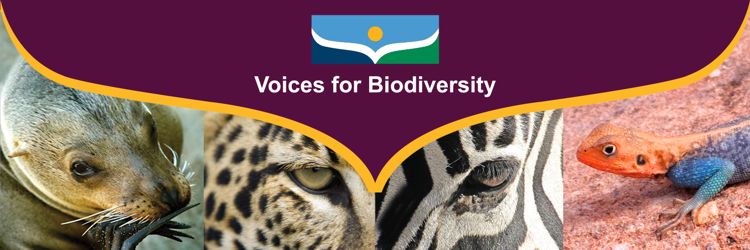 voicesforbiodiversity.org