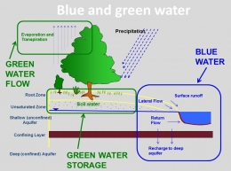 Green water dan blue water. Sumber foto: today.agrilife.org