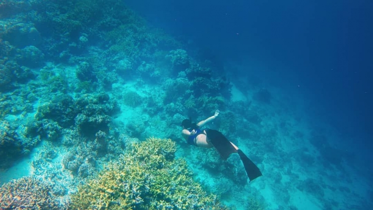 Pulau Togean. Source: instagram/@thewildweekendr