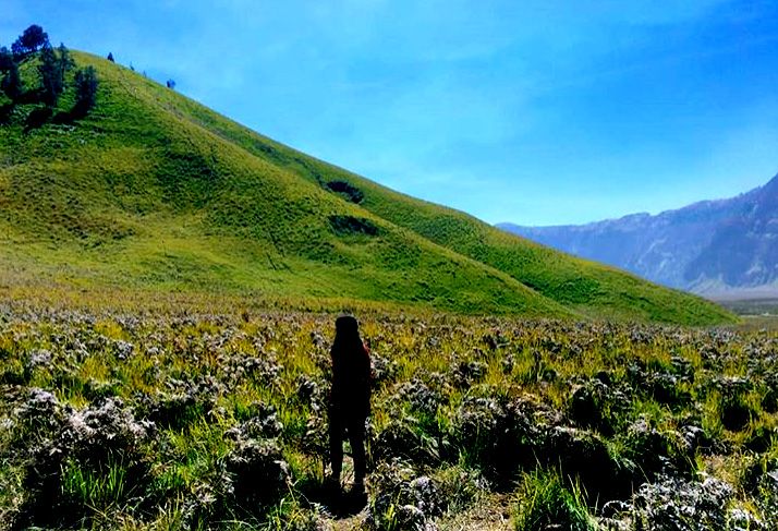 Bukit Teletubbies. sumber: www.instagram.com/pusipit