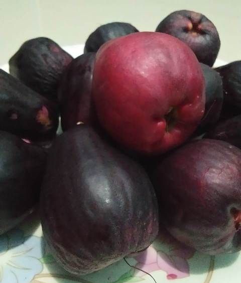 Ini 7 Manfaat Jambu Jamaika Untuk Tubuh Anda Hello Sehat