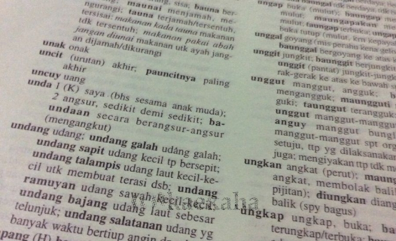 Kata Kata Romantis Bahasa Banjar Dan Artinya : Kadang kita