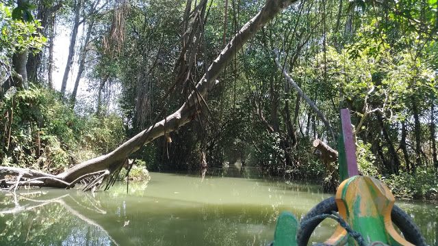 Teduhnya sungai Kedung Cowet (Dok. Didno)