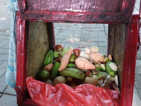 Ini buah-buhan yang diolah jadi rujak bebek. Foto | Dokpri