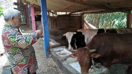 Monitoring Kondisi Kandang Sapi yang Perlu Pembenahan (dok. pribadi)