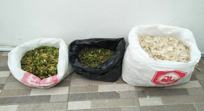 Sampah sayuran dan kulit bawang putih (Sumber: Dokumentasi Pribadi)
