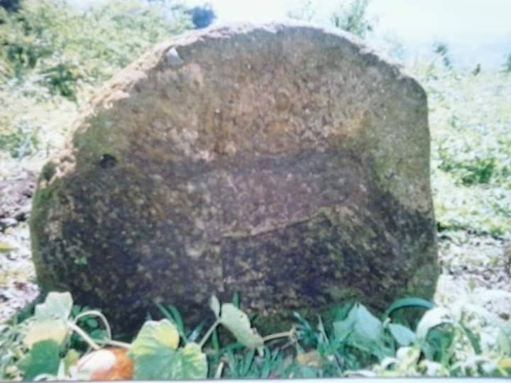Motif harimau pada salah satu tinggalan megalitik di Desa Renah Kemumu, Merangin sekitar TNKS. Sumber. Fb Alimin, Dpt