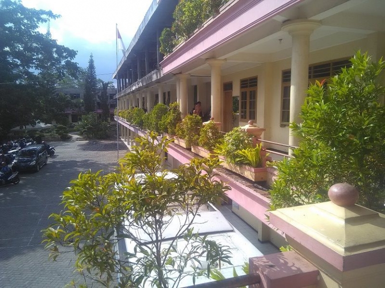 Tanaman di Sekolah (dok. pribadi)