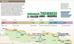 Menanam Pohon Trembesi sepanjang 2.150 km (dok. Djarum Foundation)