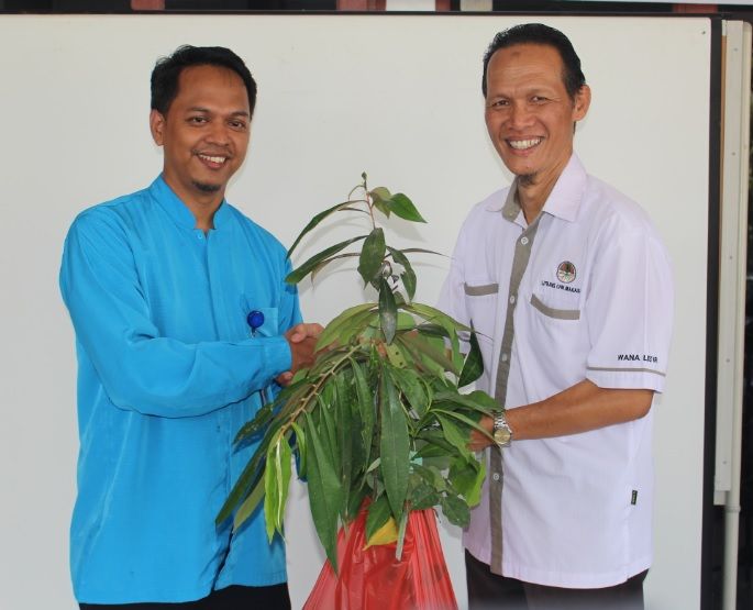 Pemberian bibit dari BP2LHK Makassar ke pihak SMP IT Al Fityan Gowa (Dokumentasi Pribadi)