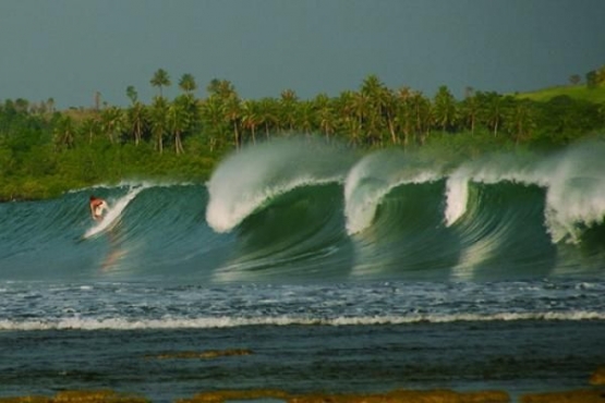 http://beritasumut.com/wisata/Agustus--Pulau-Nias-Akan-Laksanakan-Pesta-Ya-ahowu-dan-Surfing-Internasional