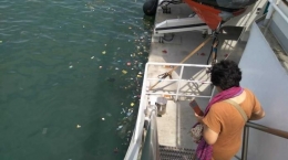 Sampah yang terdapat di sisi kapal lingkungan Rainbow Warrior saat bersandar di Pelabuhan Tanjung Priok, April 2018 lalu (foto:windhu)