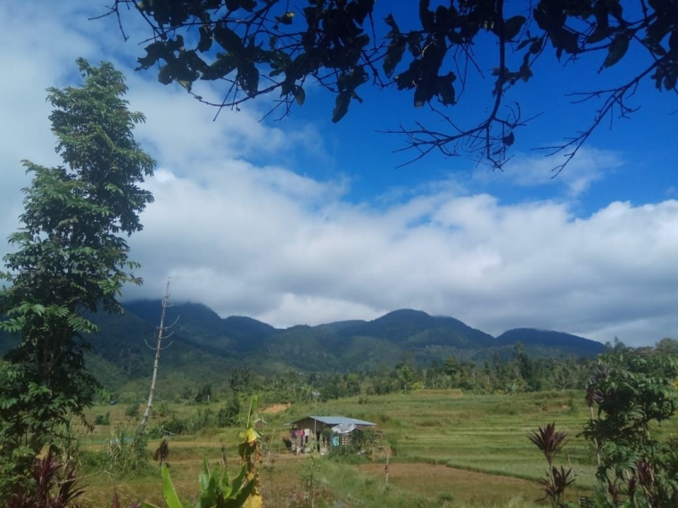 Pemandangan belakang rumah Etek. Dokumentasi pribadi.