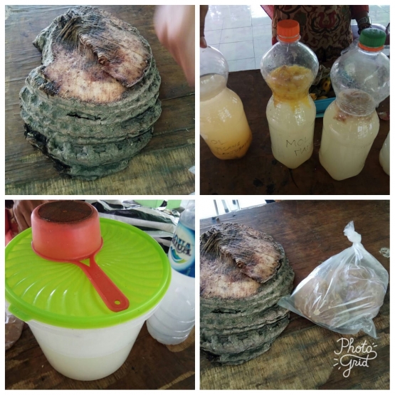 Bonggol pisang dan air cucian beras lantas difermentasi menjadi pupuk organik/foto dokpr