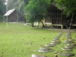 deskripsi : selain berkonsep vila terdapat pula penginapan bermodel barak di Pulau Peucang I Sumber Foto : dokpri