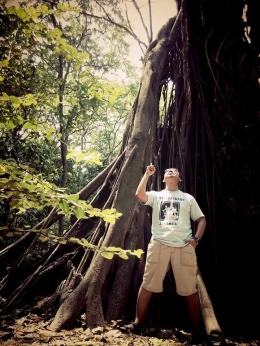 Deskripsi : Kita akan menemukan akar pohon yang besar di hutan I Sumber foto :dokpri