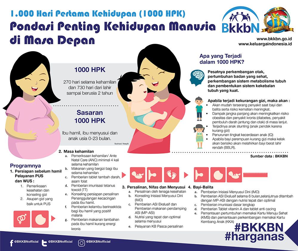 Pengalaman Mengoptimalkan 1000 Hari Pertama Kehidupan Si Kecil Halaman ...