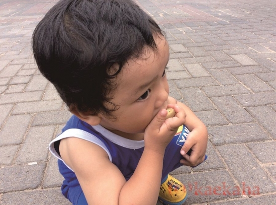 Dedek Hilal sudah habis berapa buah Matoanya? (Foto : @kaekaha)
