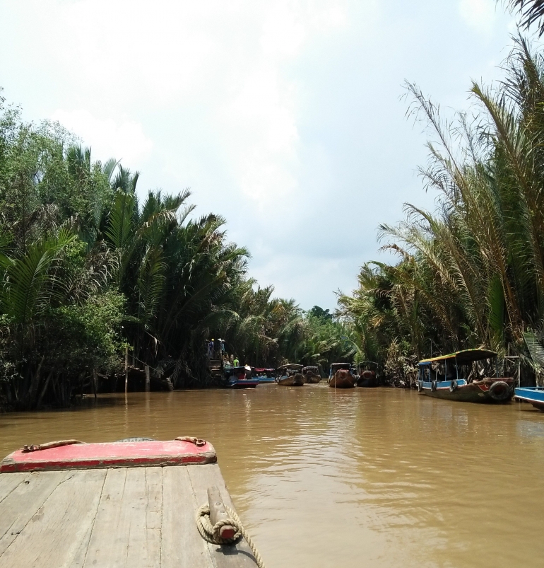 kawasan Delta Mekong