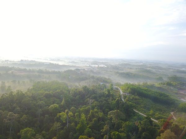 Kabut hutan (dok.pri)