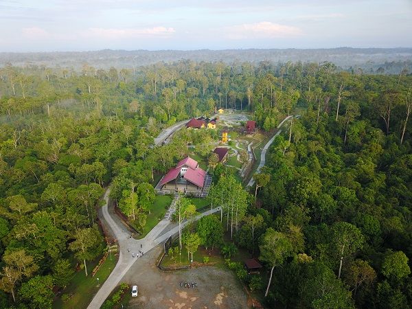 Hutan Borneo (dok.pri)