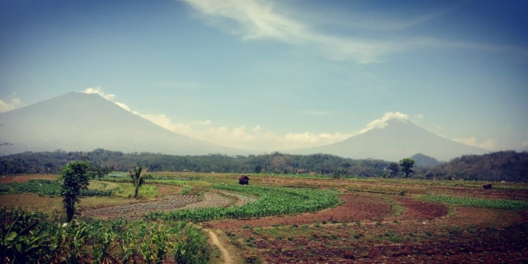Gunung Sindoro dan Sumbing/dokpri