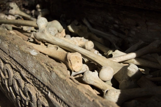 Tulang Manusia di Ke'te Kesu | Dokumen Pribadi