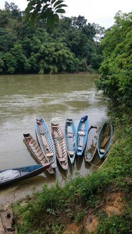 Perahu panjang yang membawa kami ke hulu sungai | Foto: Rifki Feriandi