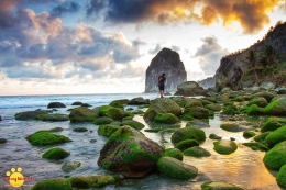 batu-batu yang diselimuti lumut di pantai Pangasan, jadi daya tarik tersendiri