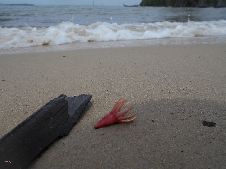 Pasir putih, bakau, skyline Singapore, pertunjukan seni, we got everything. (Dok. Pribadi)