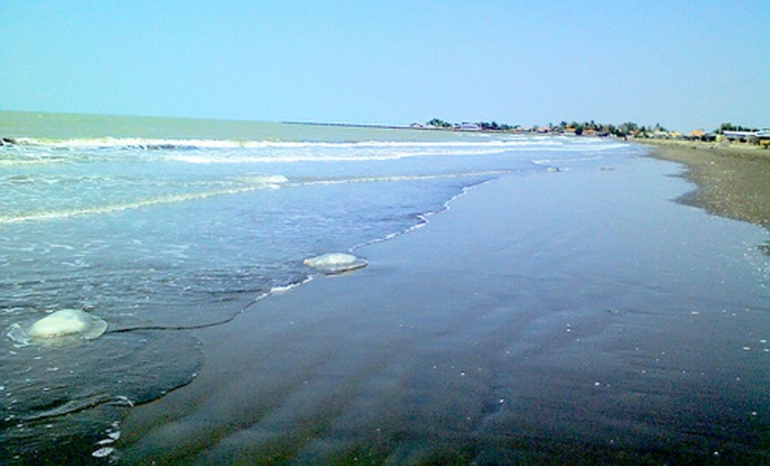 Pantai Tambak Indah Indramayu (dok. Tosupedia)