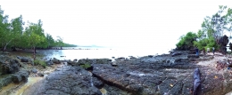 Pemandangan Pantai Tatombatu, sebagian besar berupa karang dan bakau | Sumber: dokumentasi pribadi