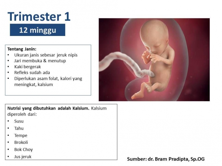 Sumber dr. Bram Pradipta, Sp.OG, Infografik Elly Nurul