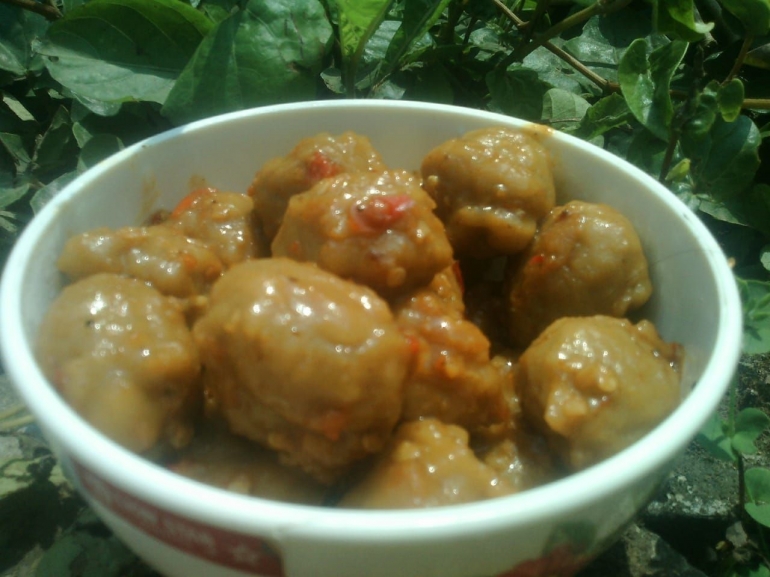 dok.pribadi