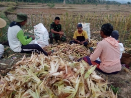 Sumber Foto Gambar : Dokumentasi Kodim 0806/Trenggalek