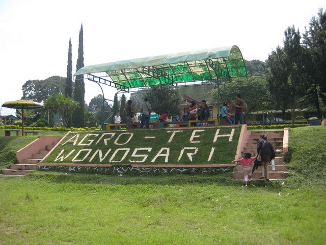 Gambar Kebun Teh Lawang Fasilitas Dan Tarif Penginapan Di Kebun Teh Wonosari Lawang Penginapan Net 2020