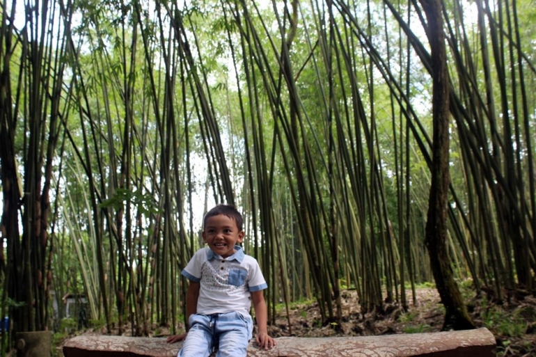 Hutan Bambu (dokpri)