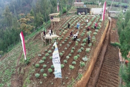 Taman Edelweis, dilihat dari drone (koleksi pribadi)