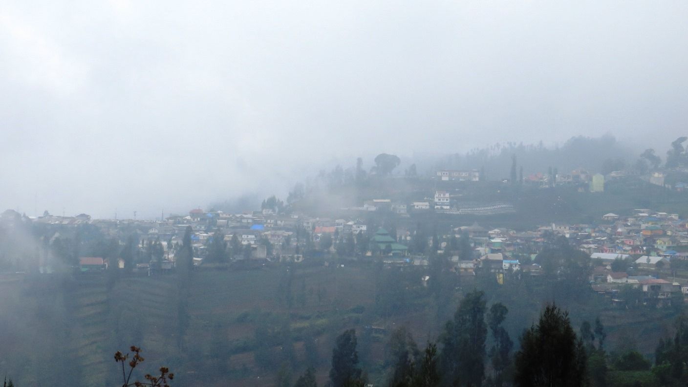 Mengenali Taman Edelweis Di Bromo Halaman 1 - Kompasiana.com