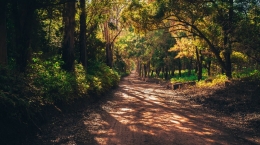 Sumber : https://www.pexels.com/